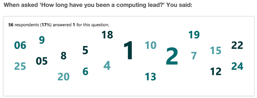 Answers to "How long have you been a computing lead?".